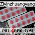 Ziyinzhuangyang 19